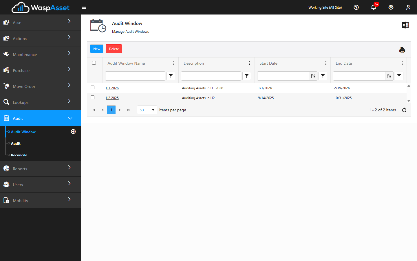 Managing audit windows